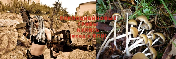 амф Кинешма