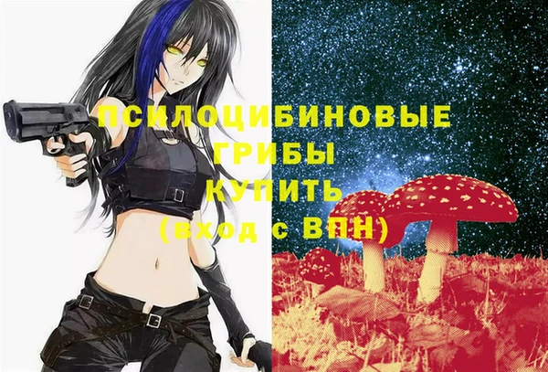 амф Кинешма