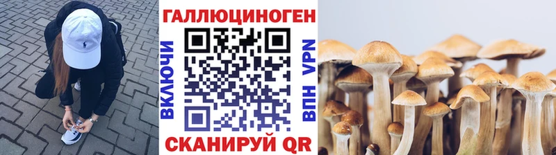 Псилоцибиновые грибы мицелий  Купить  Пестово 